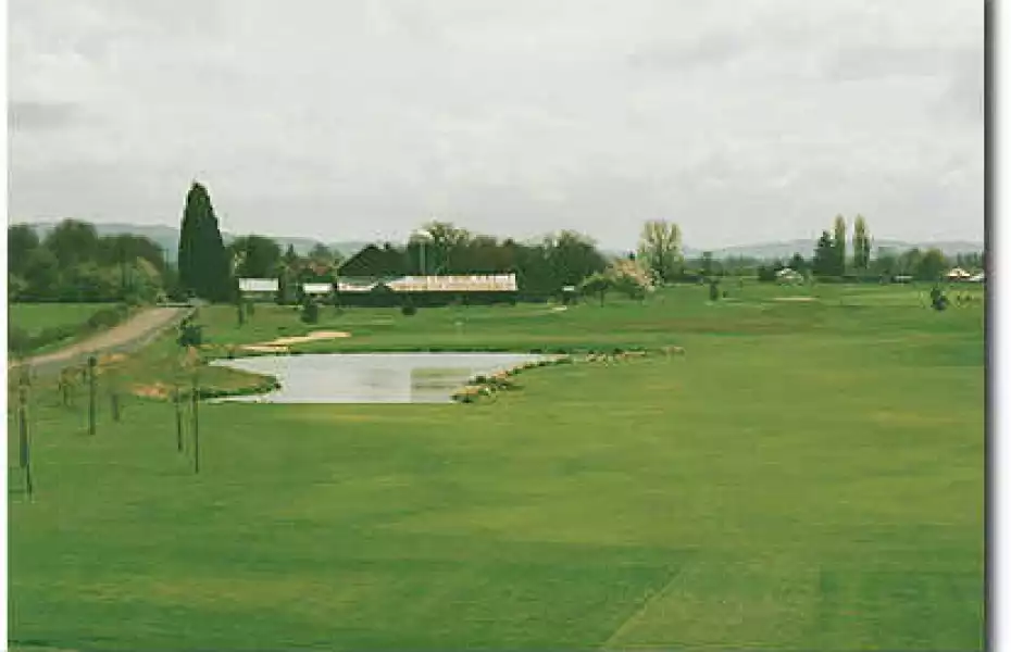 Quail Valley #14
