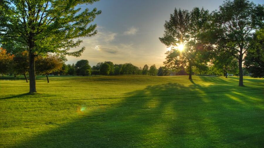 Saginaw Valley GC