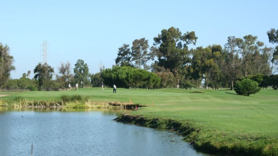 Palo Alto GC: #11