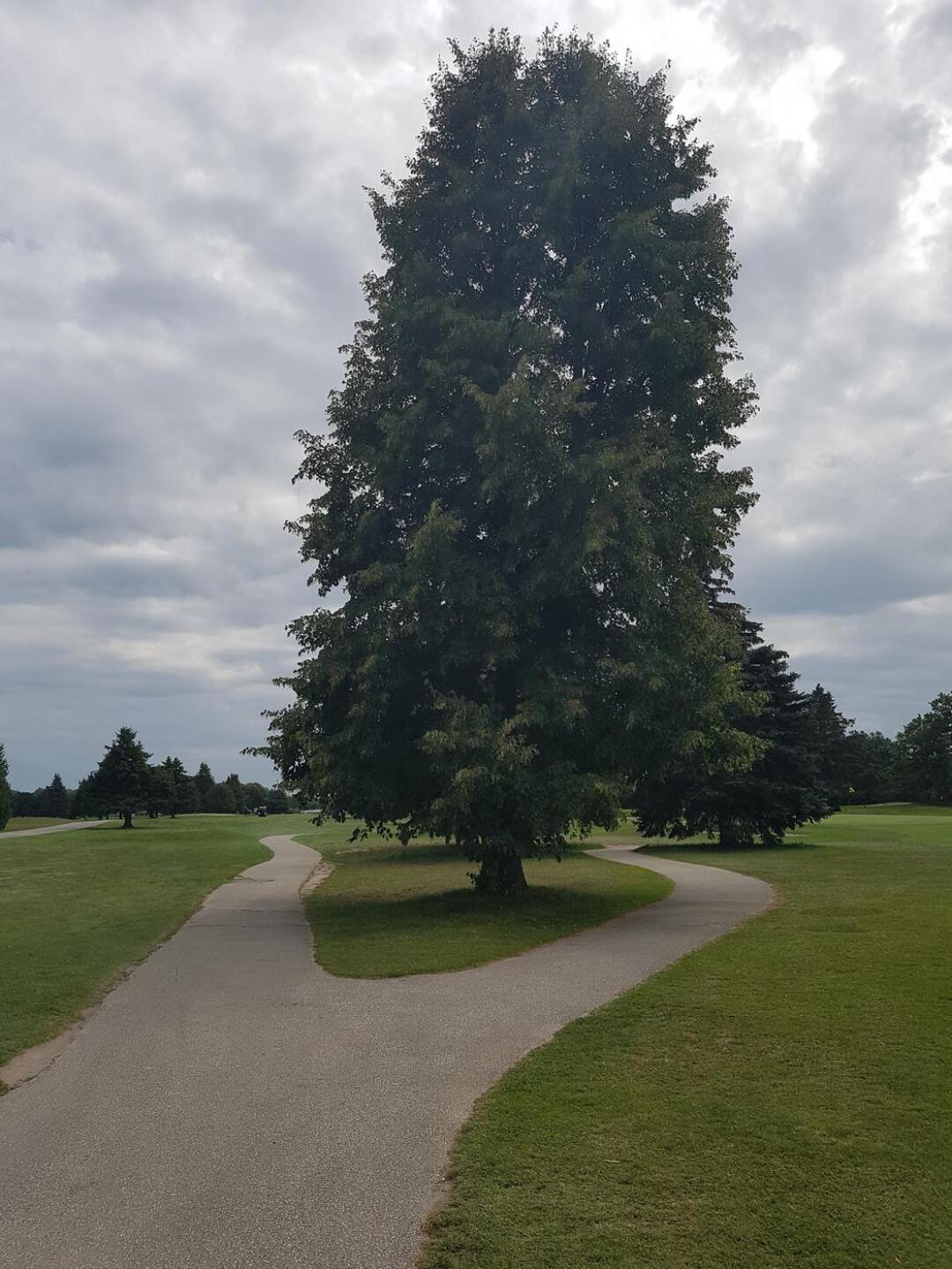 14 th hole tee (Photo submitted by soondy on 08/17/2021)