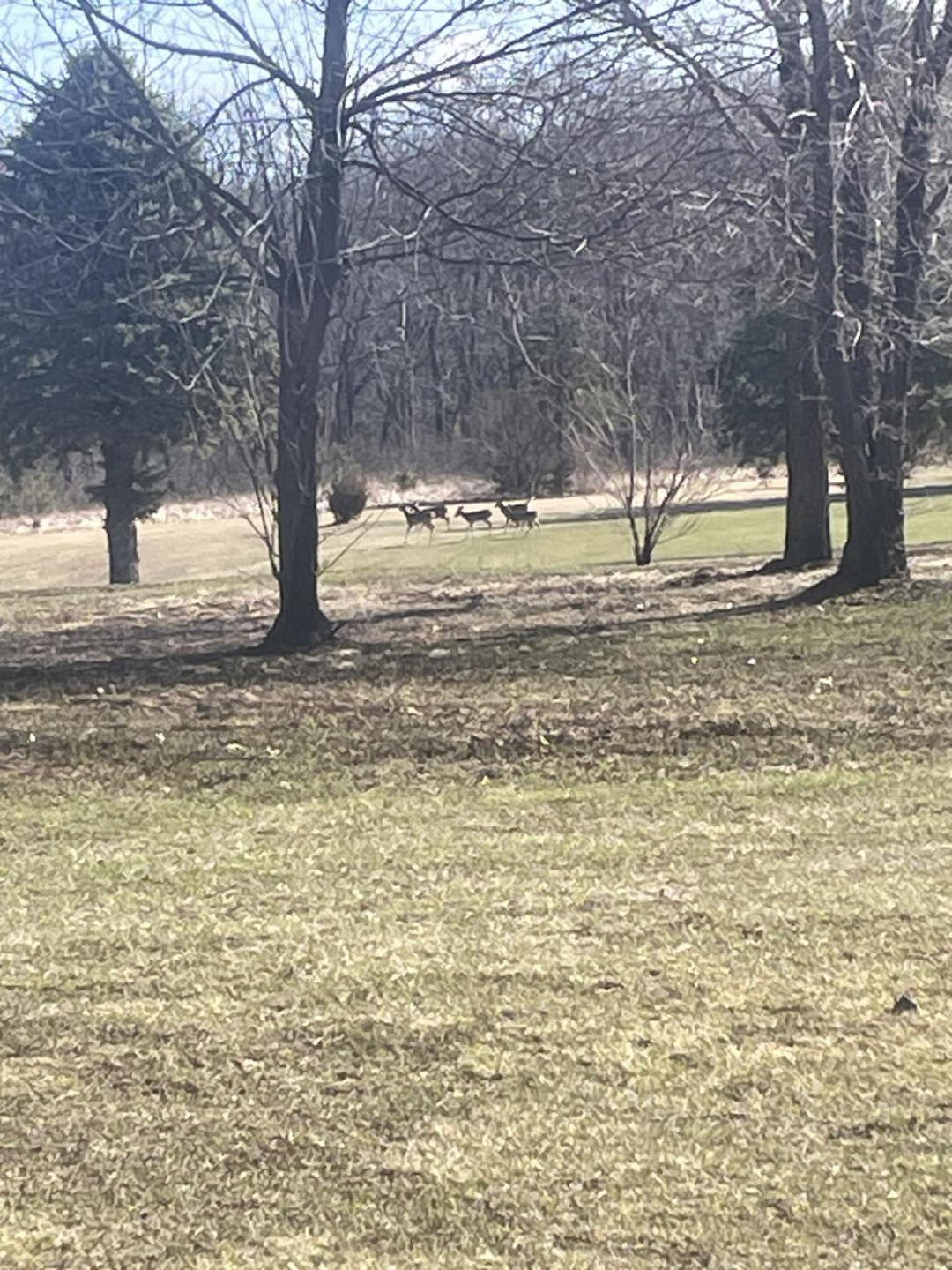 (Photo submitted by Timothymuench5 on 03/25/2025)