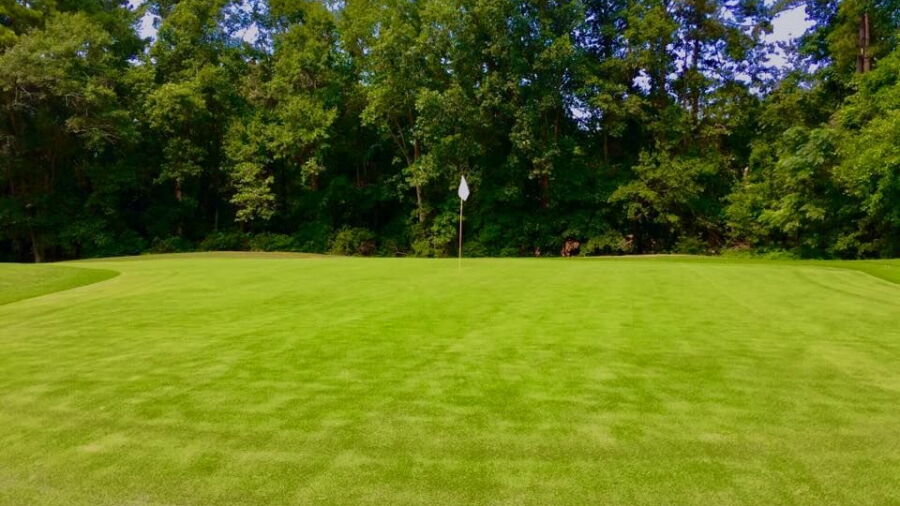 Houndslake CC