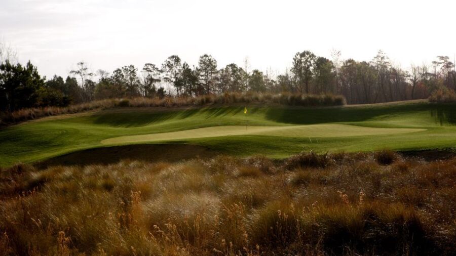 Barefoot RG - Love: #8