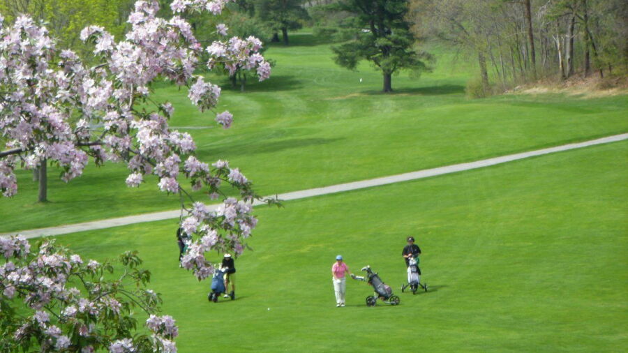 Bellevue GC