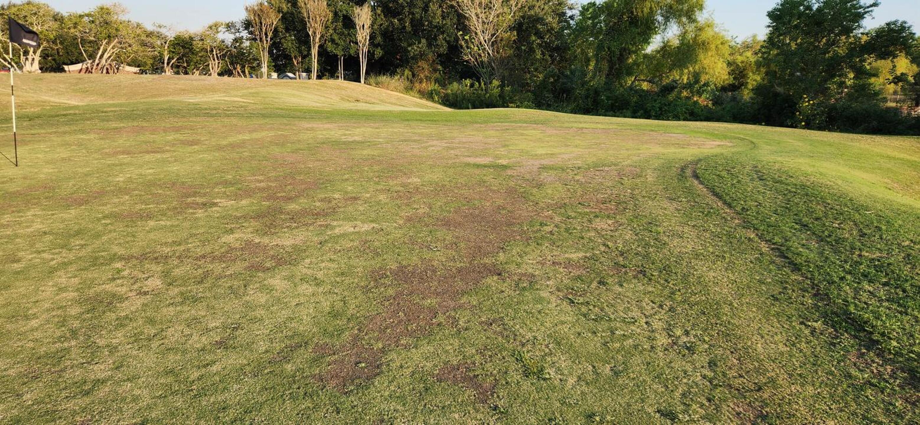 (Photo submitted by u075223535 on 10/08/2024)