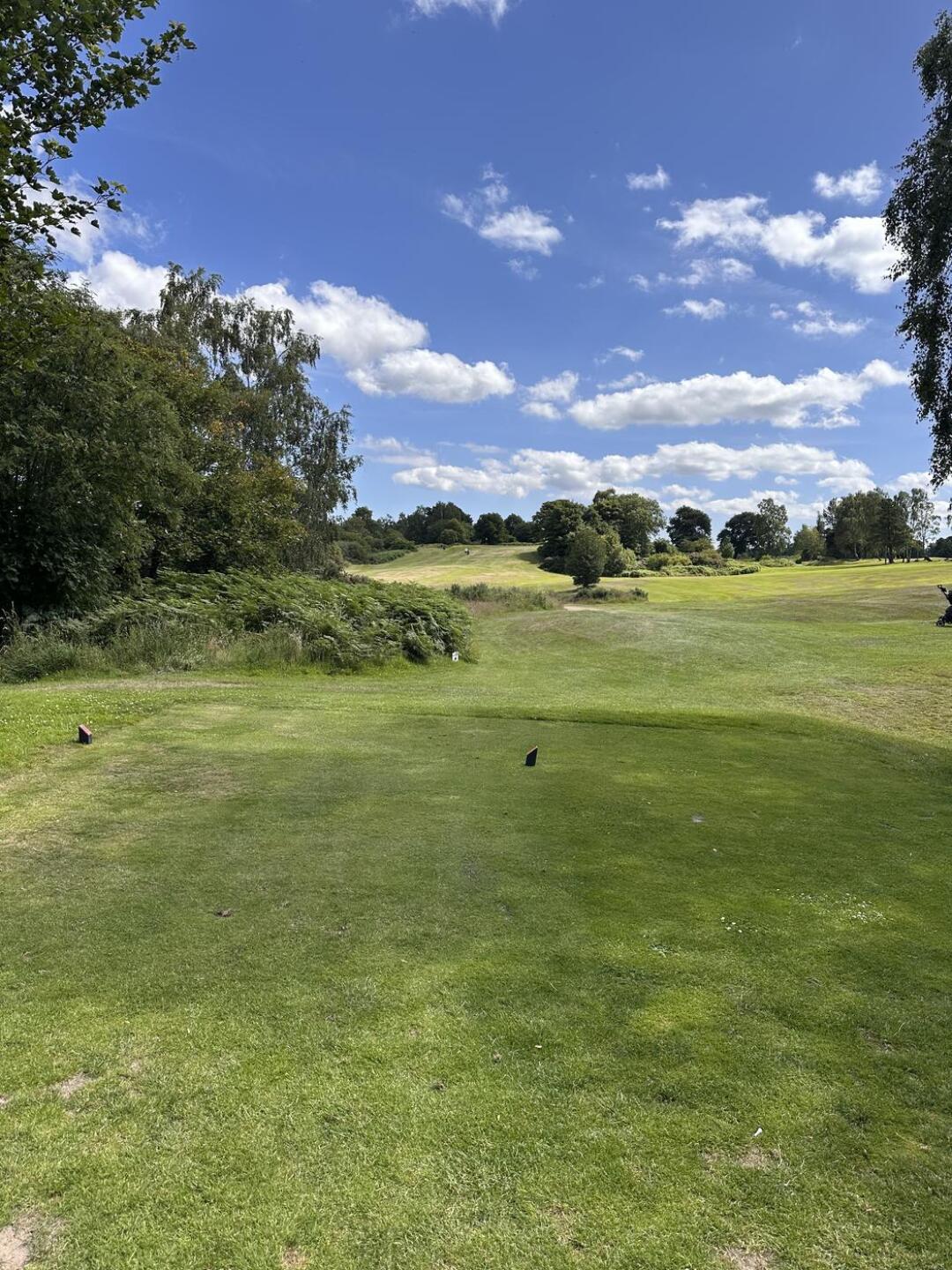 (Photo submitted by u314162986105 on 07/14/2025)