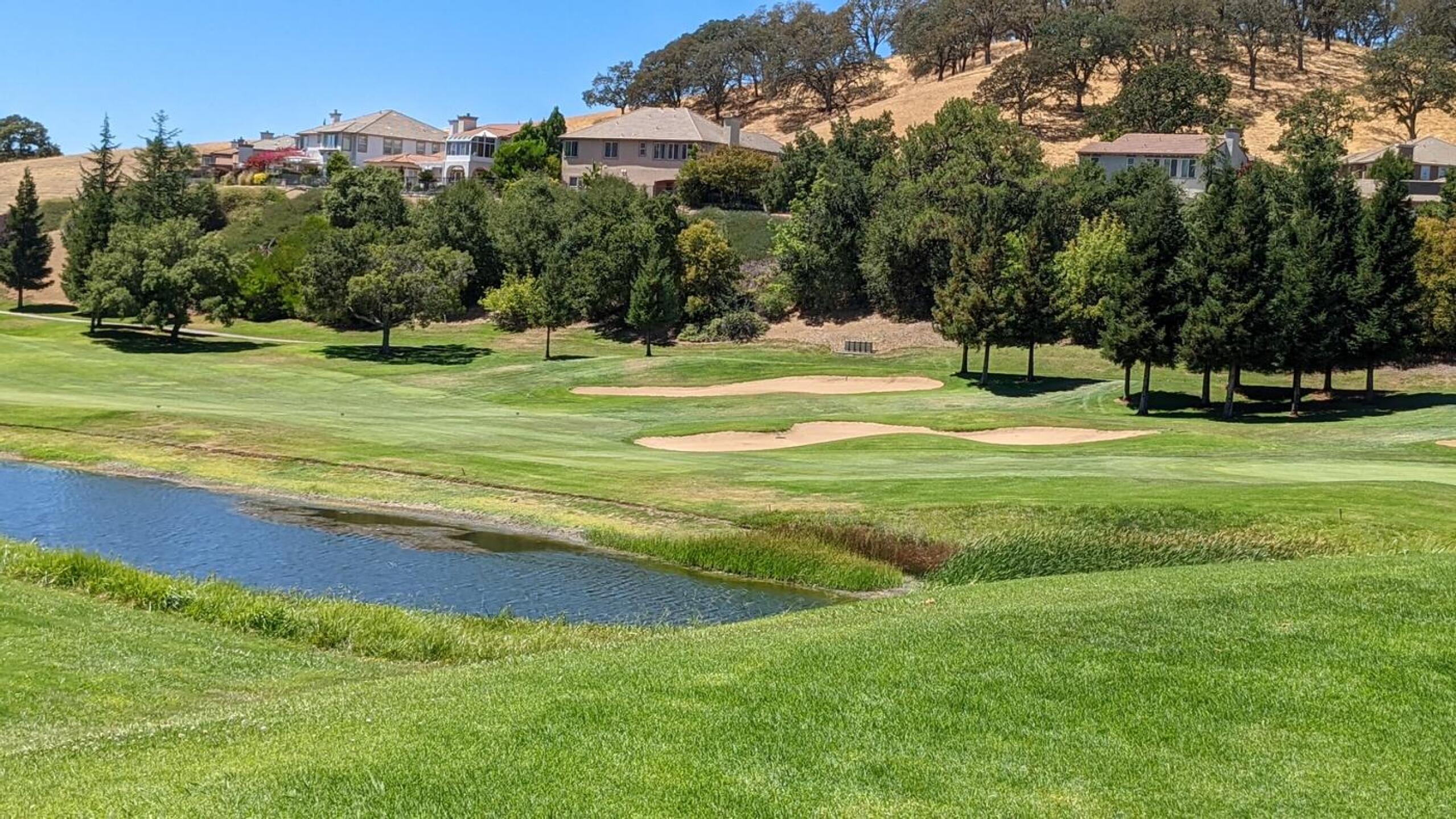 (Photo submitted by linz4ucla on 08/10/2022)