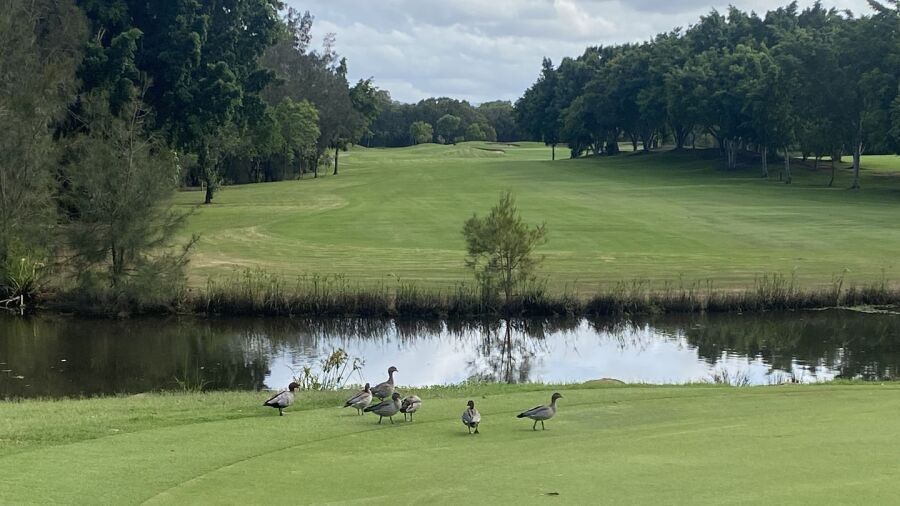 Riverlakes GC