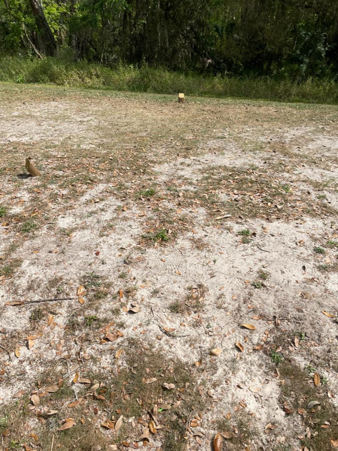 (Photo submitted by u8394278 on 02/26/2023)