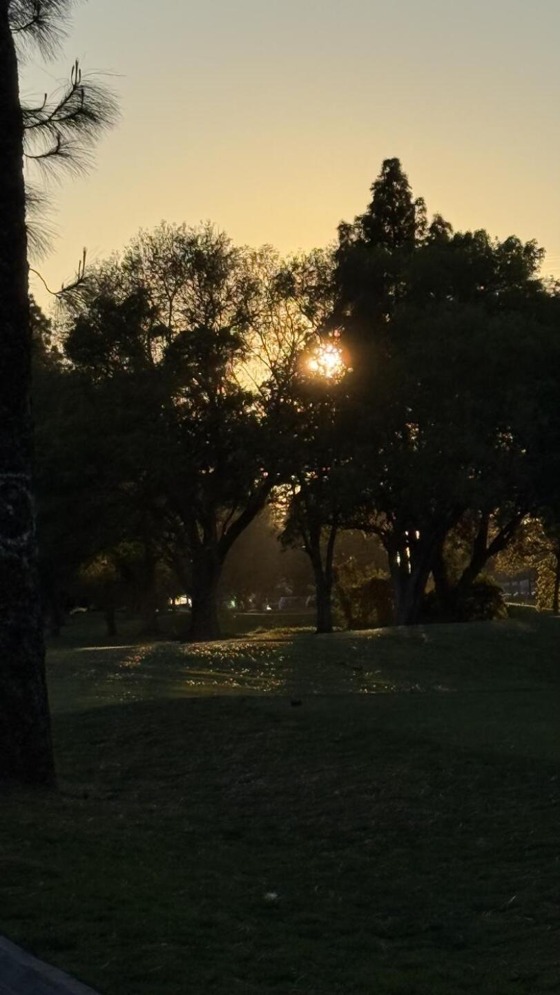 (Photo submitted by qctaPYQWIFXJoEQmvO1y on 02/23/2026)