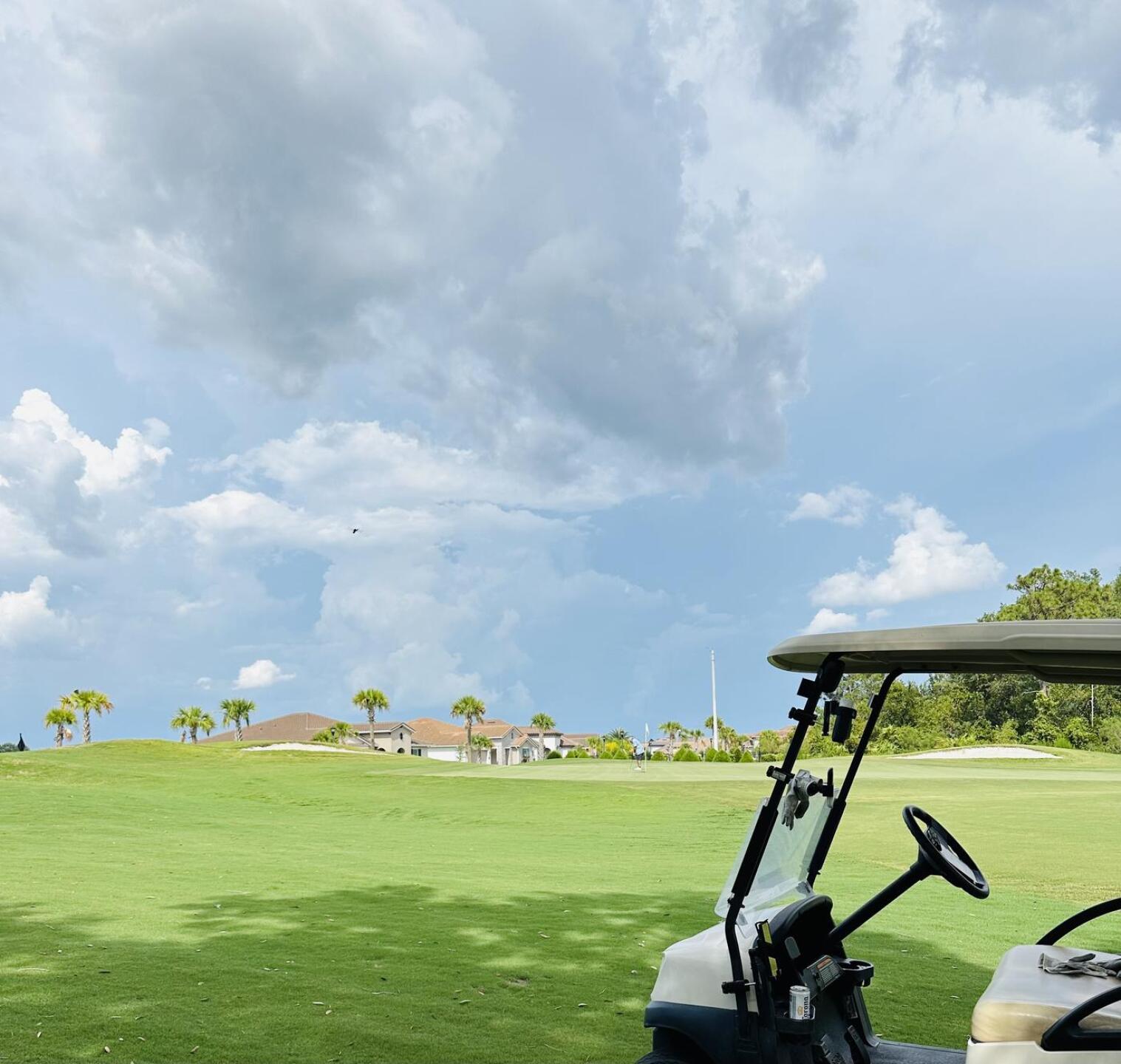 (Photo submitted by Rcg1277 on 08/12/2023)