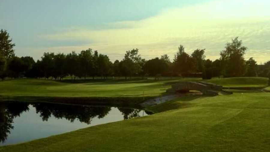 Forest Hills: #18