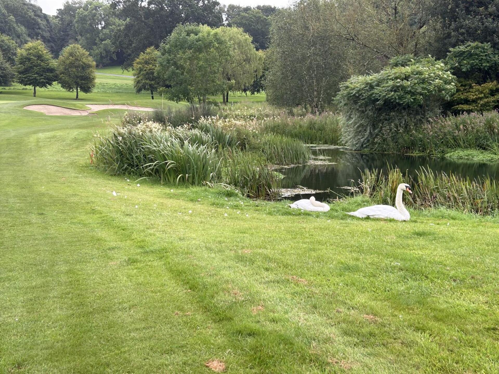 (Photo submitted by 9Y2FRwxRj5XJGx8cAHRA on 08/07/2024)