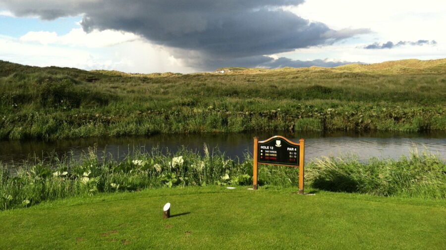 Bushfoot GC: #12
