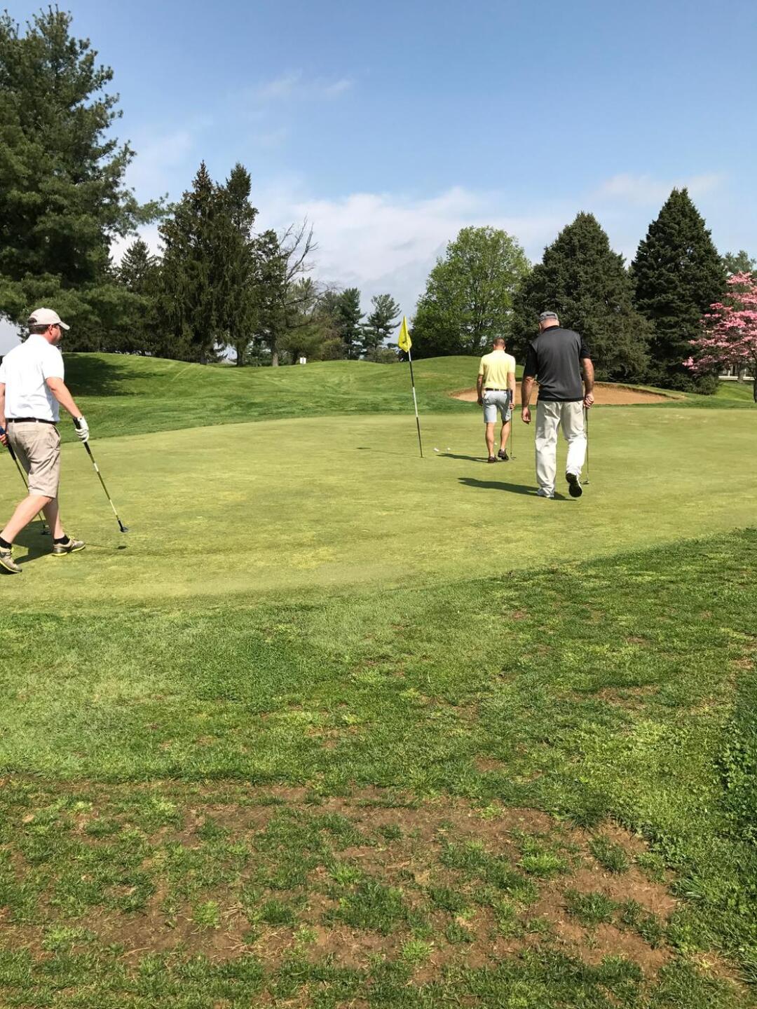 Green (Photo submitted by null on 05/01/2017)