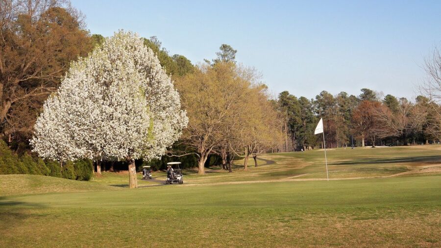 Hillandale GC