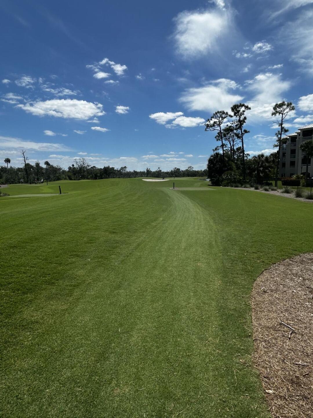 (Photo submitted by monicaamo908 on 04/12/2026)