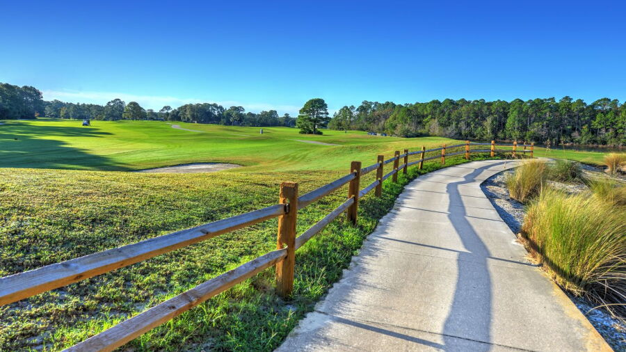 Cypress Head GC