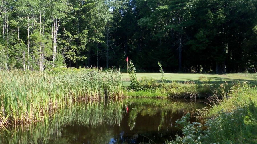 Lebanon Pines GC