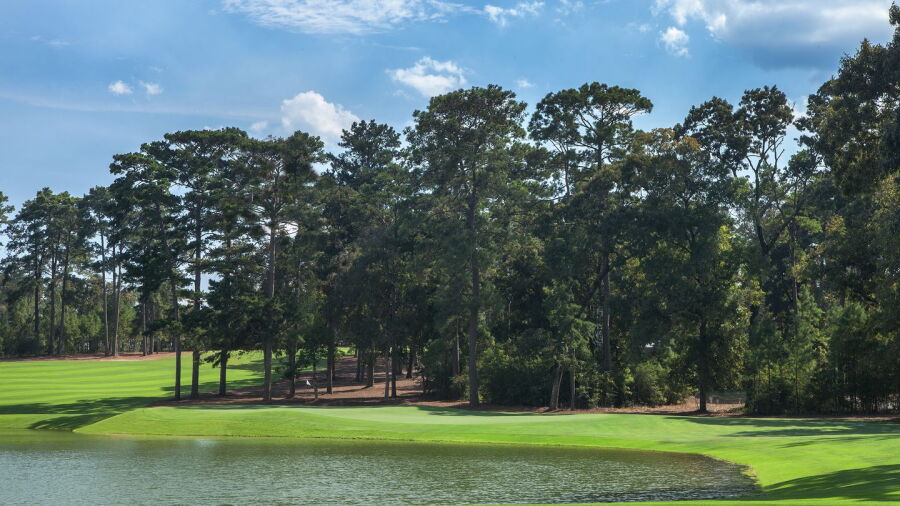 Bluejack National: #7