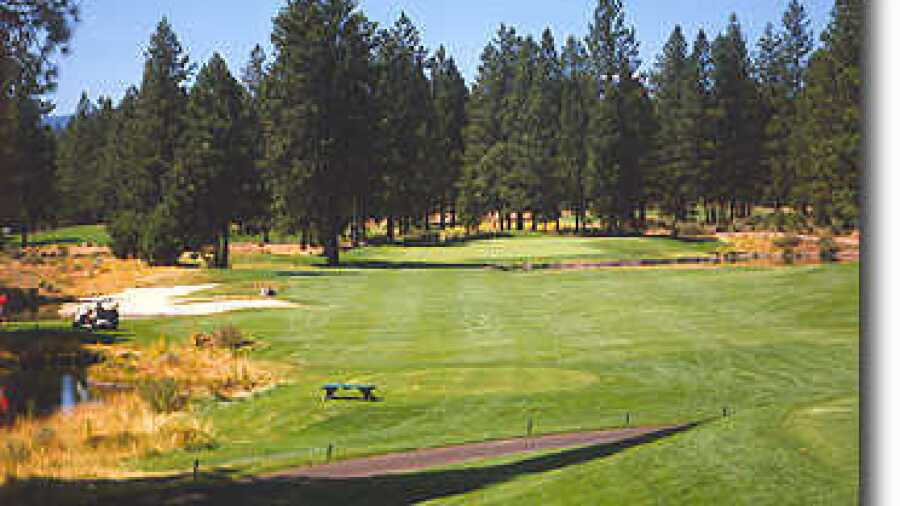 Widgi Creek #6