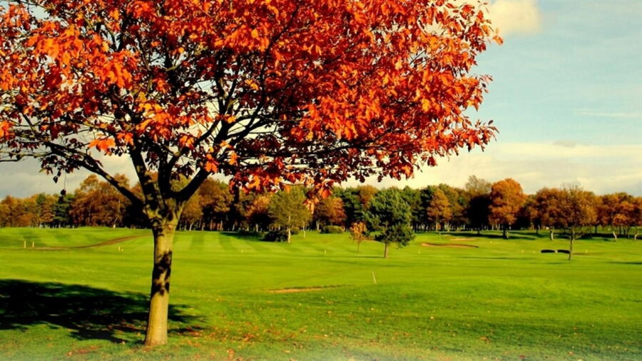 Ponteland GC