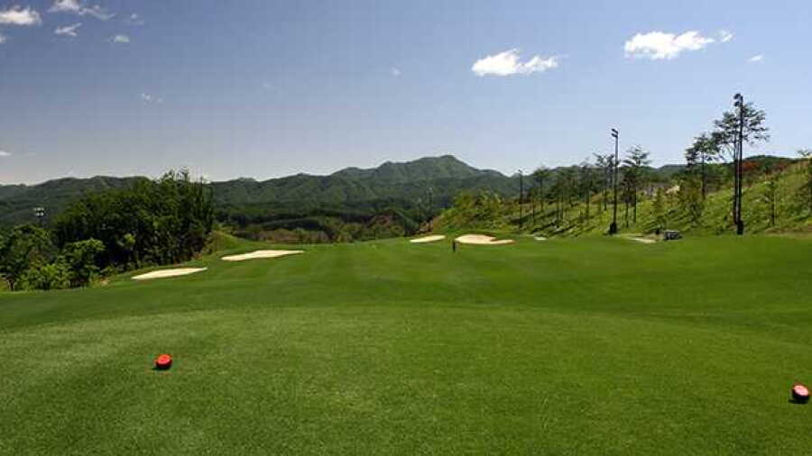 Shinedale CC - Shine: #1