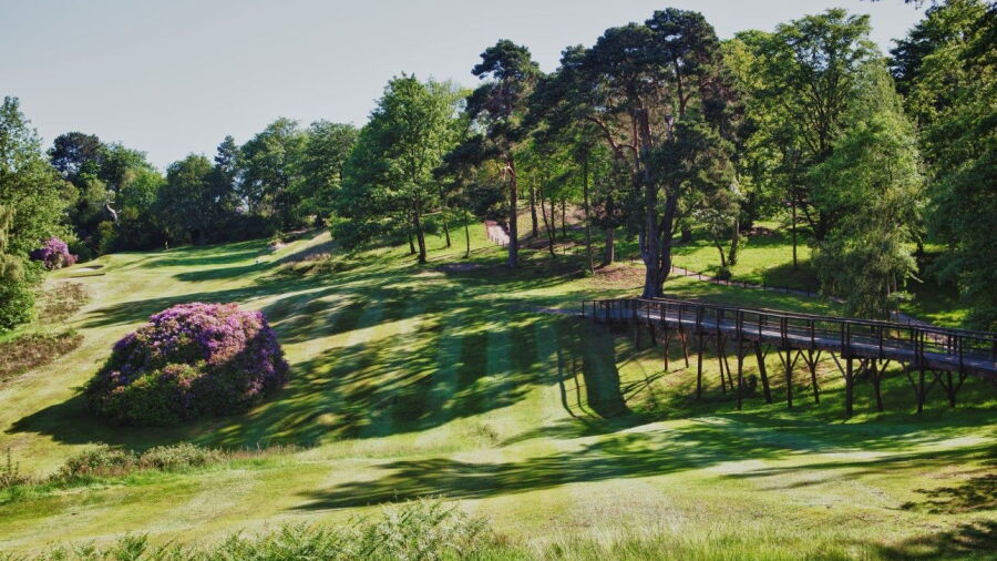 Addington GC: #12