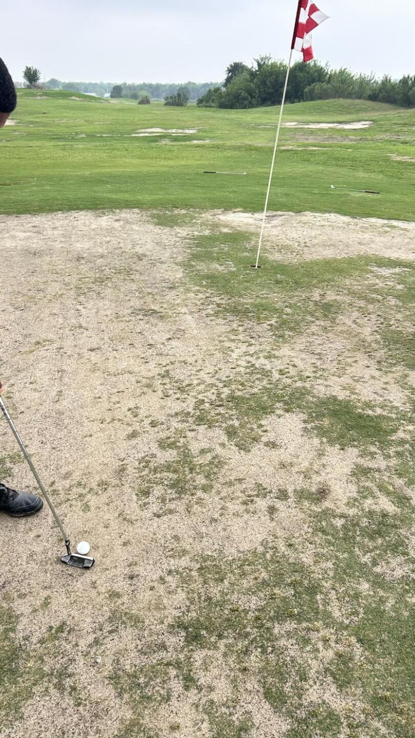 (Photo submitted by ZRMnUN45l66N3MSPoC4c on 04/26/2026)