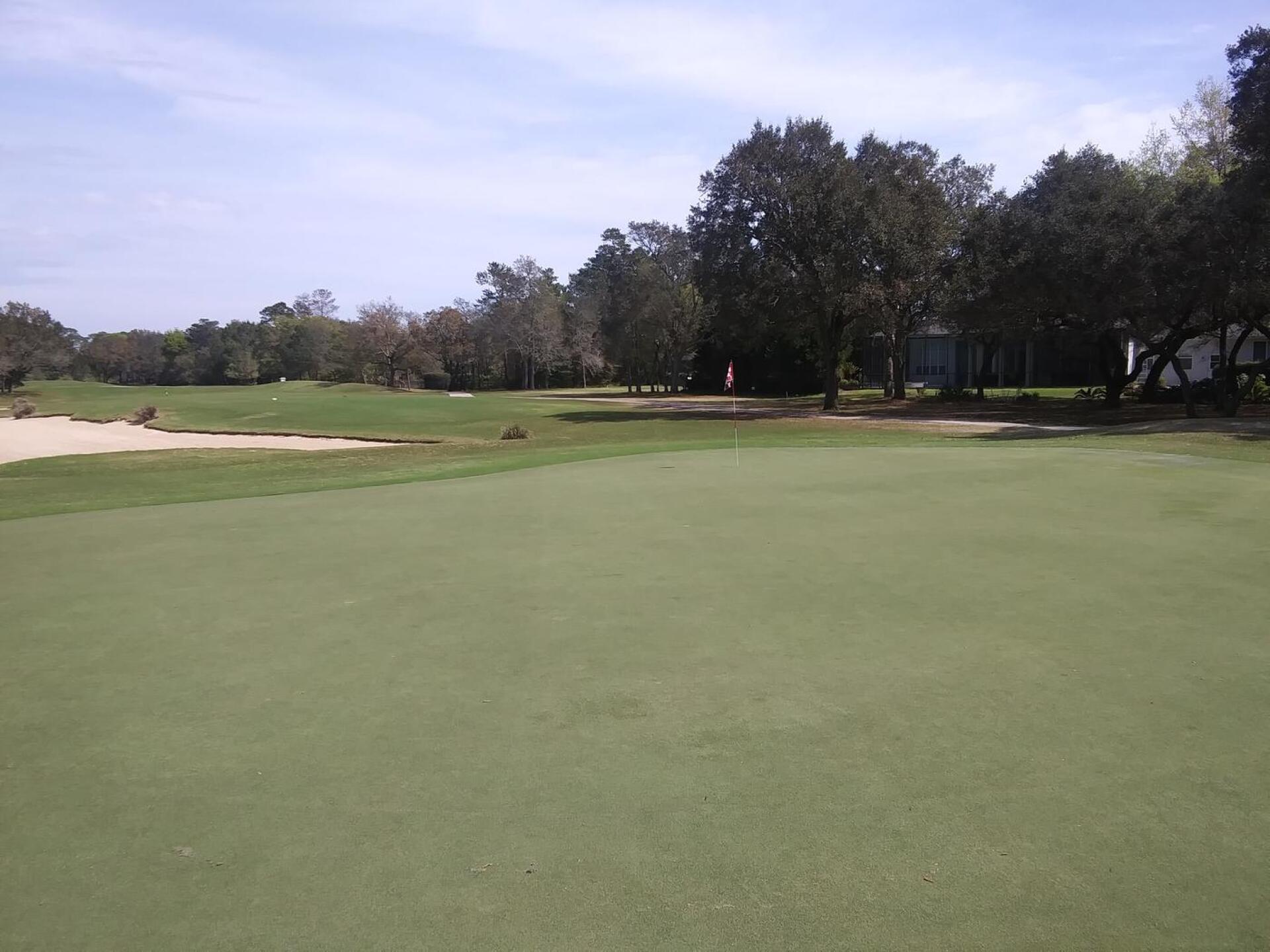 (Photo submitted by p1oshk9EDPfLqTwGnt02 on 03/17/2020)