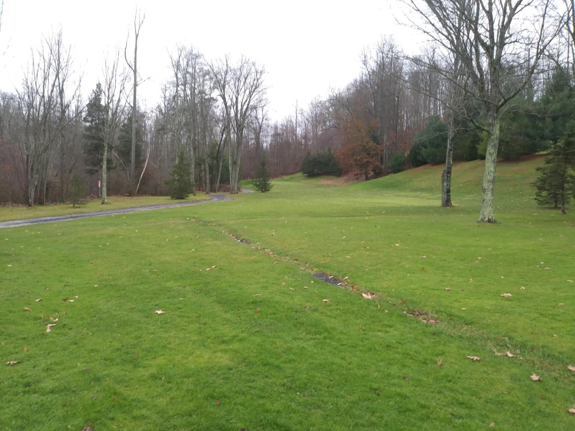 The 4th: dogleg left. (Photo submitted by AptlyLinked on 11/23/2019)