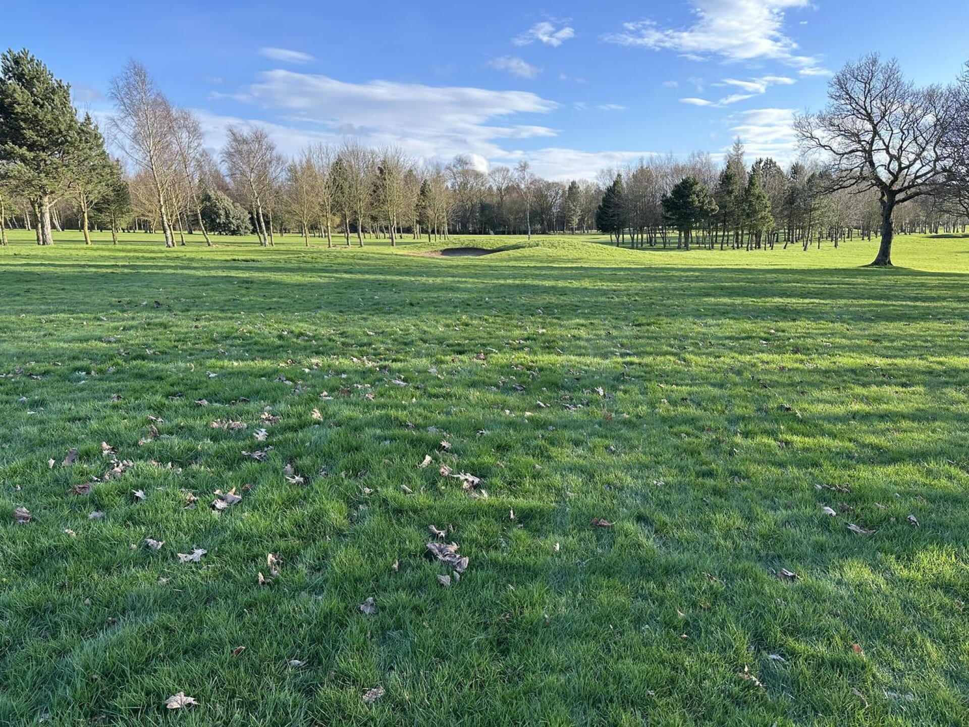 “Fairway” (Photo submitted by u791200452 on 03/24/2024)
