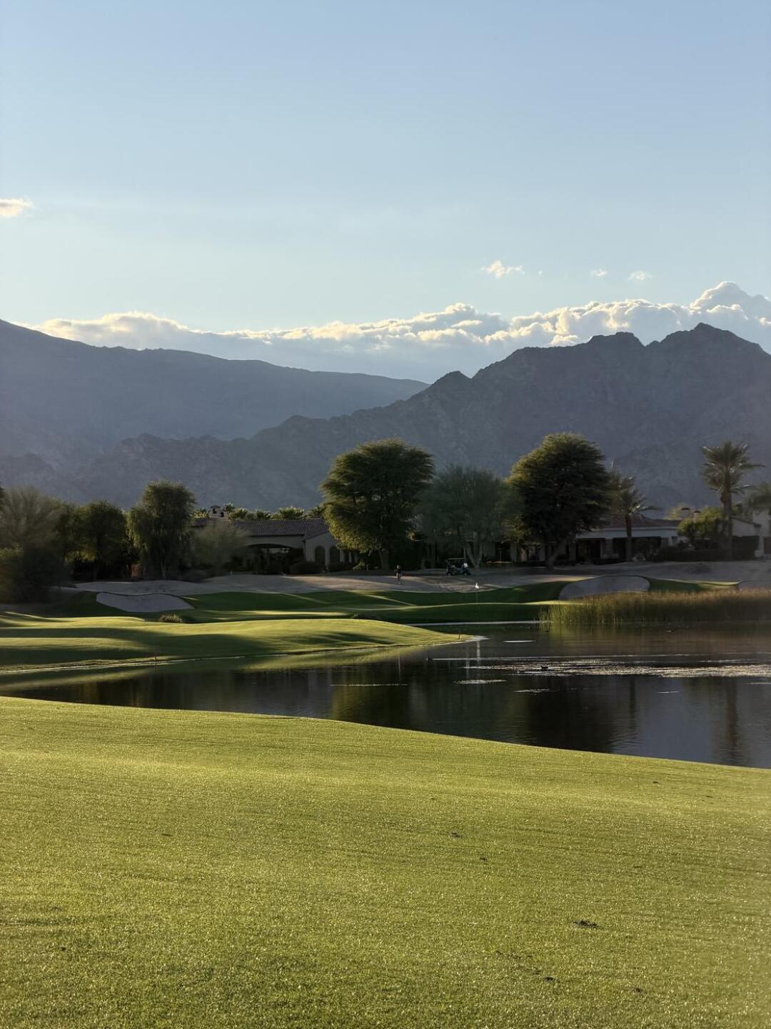 (Photo submitted by Theopowers on 01/10/2026)