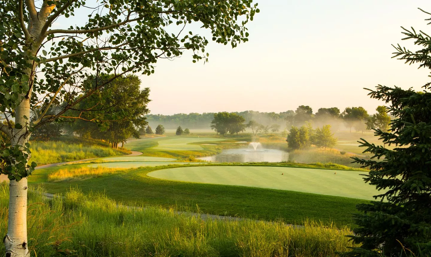 The Meadows at Mystic Lake: #14