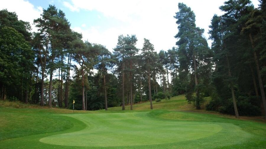Old Thorns Manor HGCE: #15