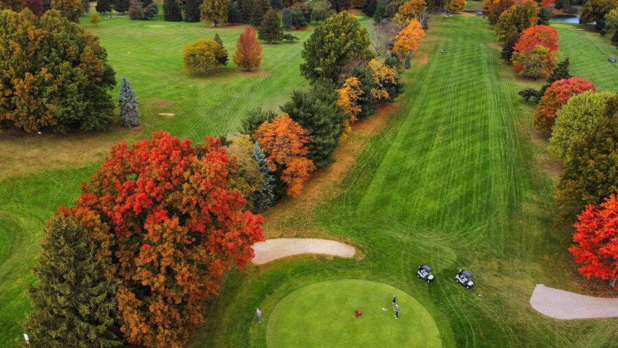 Pine Valley GC: #4