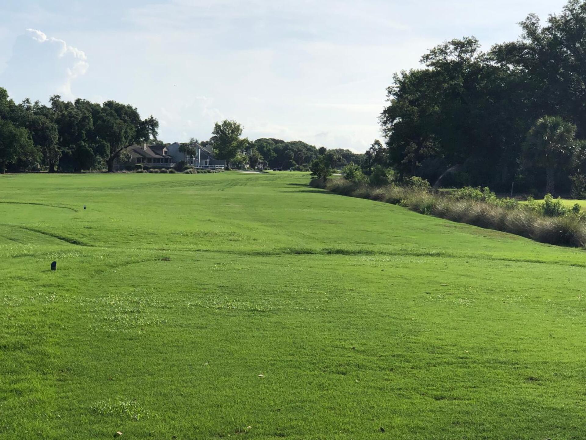 (Photo submitted by adaberne7 on 06/23/2019)