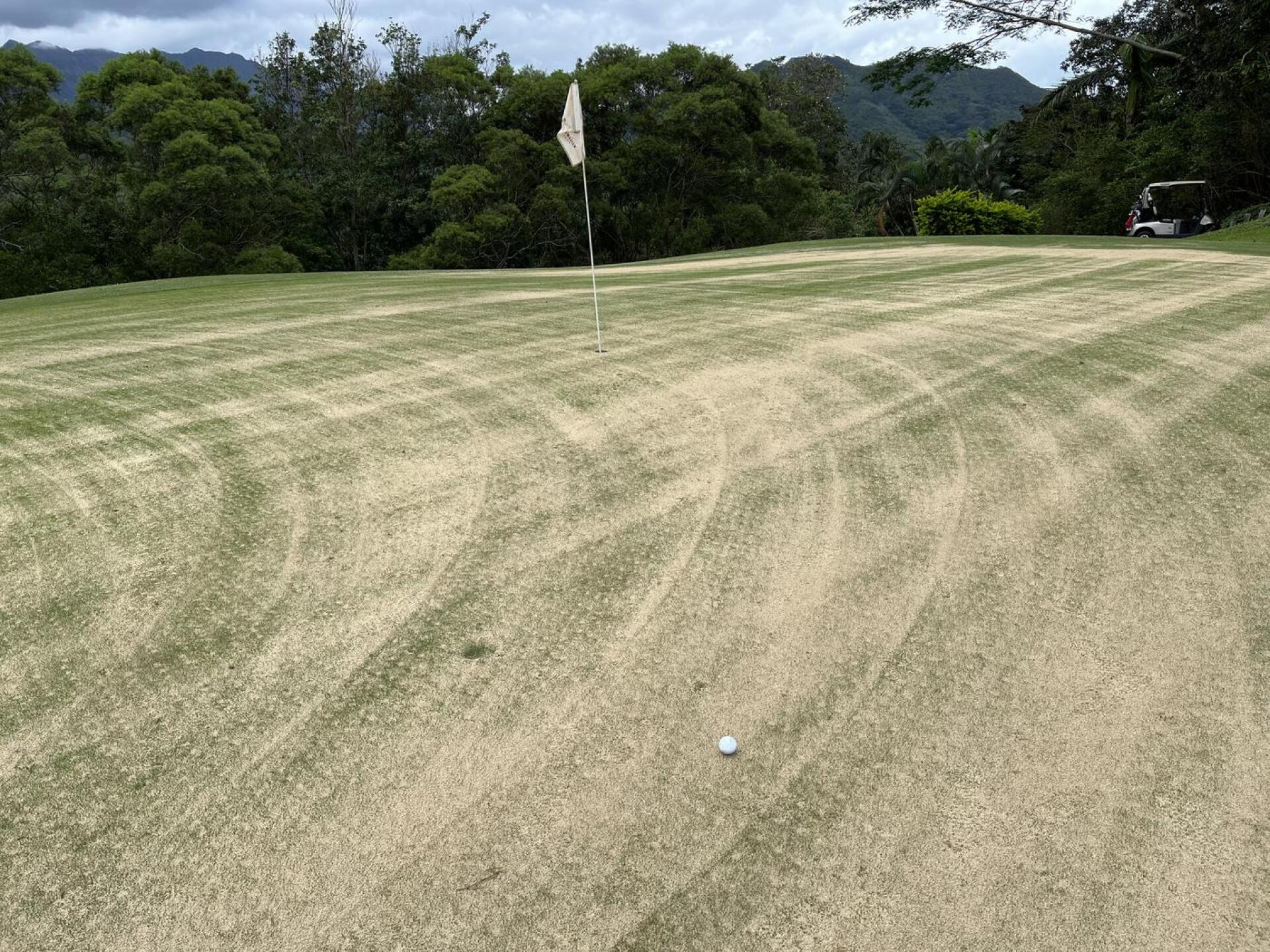 (Photo submitted by ktutt on 03/24/2023)