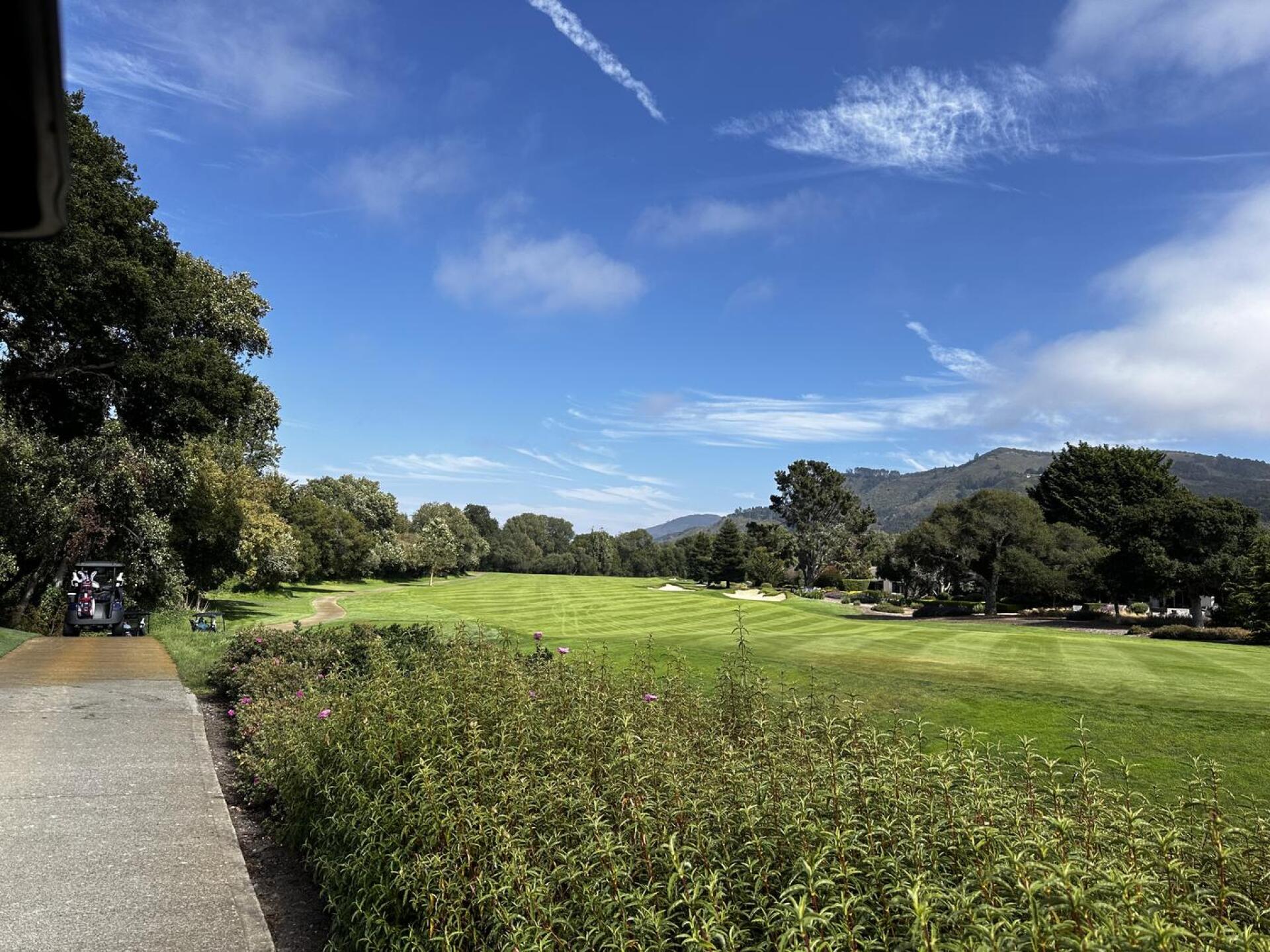 (Photo submitted by u319971687 on 08/10/2024)