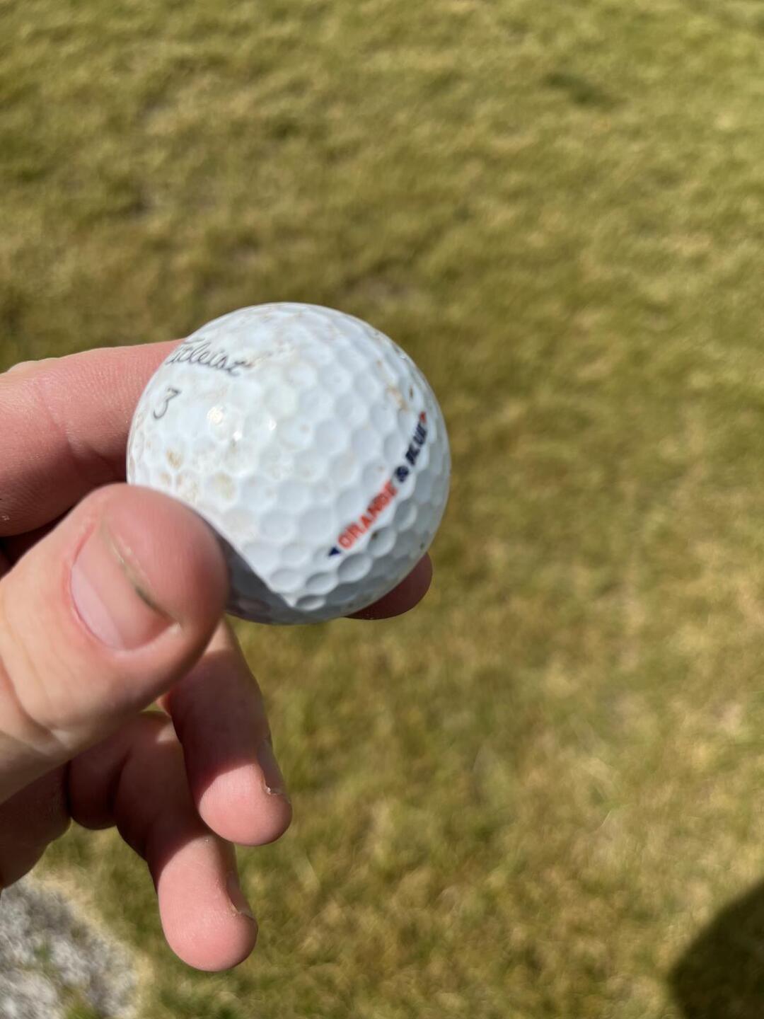 (Photo submitted by Henry7624085 on 06/16/2023)