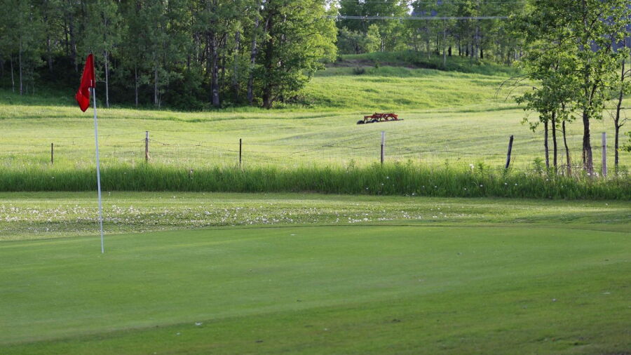 Molyhills GC