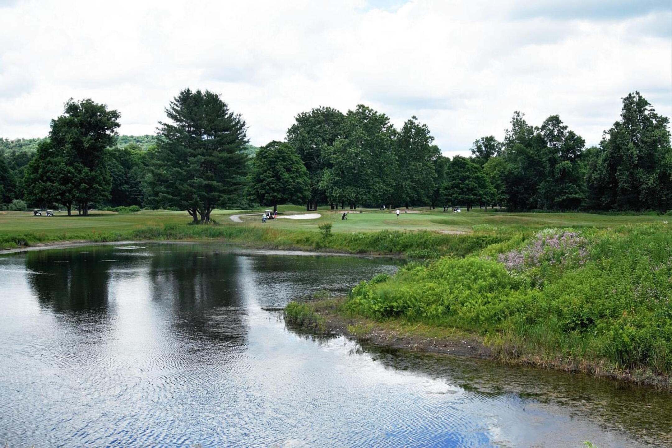 As seen from the back tee, set at 200-yards, this is hole eight. The tee shot must at least carry the pond if you hope to par the hole. (Photo submitted by AptlyLinked on 06/25/2022)