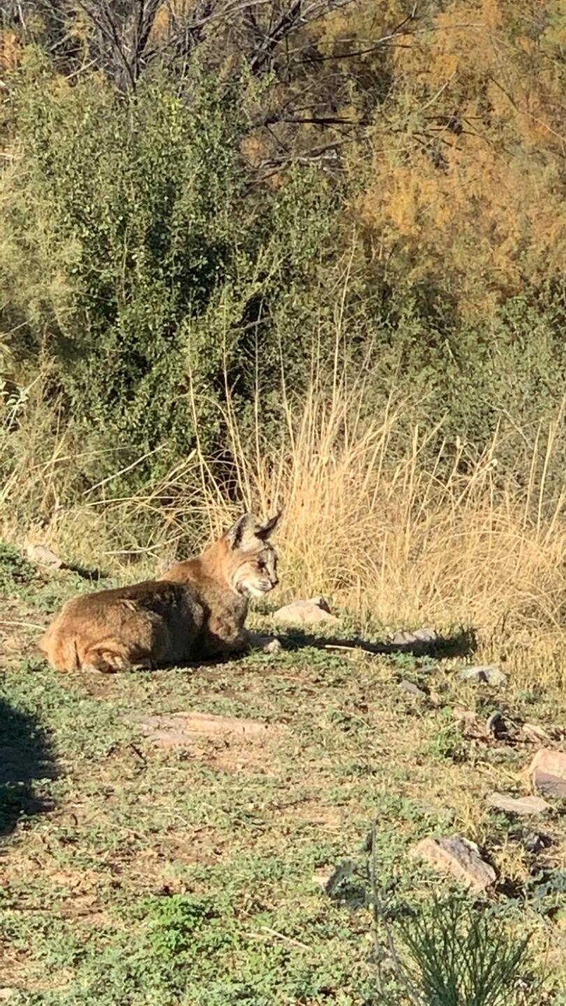 (Photo submitted by fmoreno on 11/30/2021)