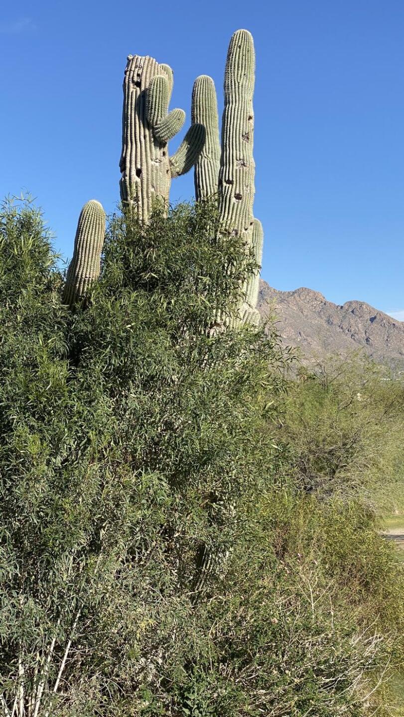 (Photo submitted by u000003577917 on 04/09/2021)