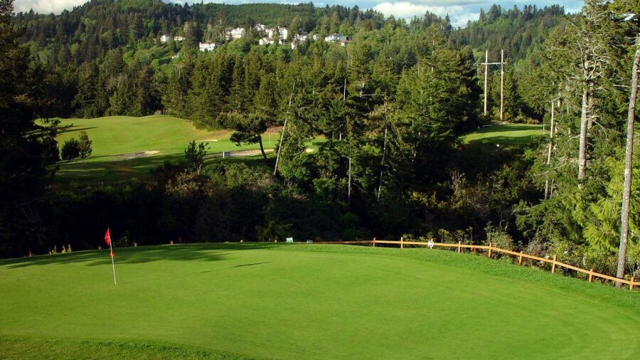 Ocean Dunes Golf Links: #12