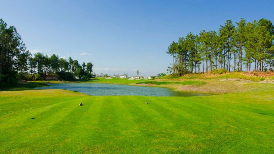 Bijao Beach Club & Golf Resort: #6