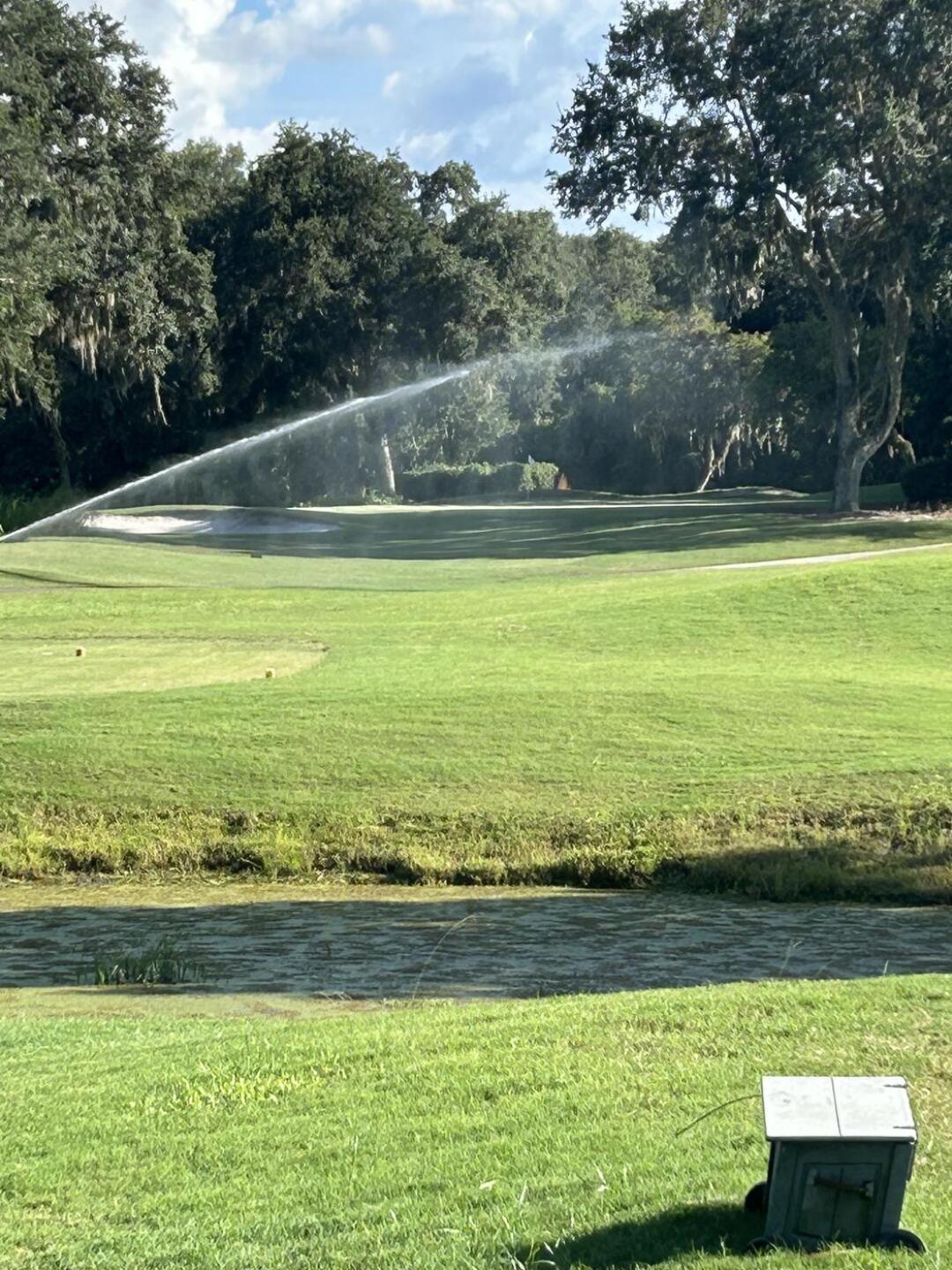 Playing through the sprinklers. (Photo submitted by Jaywayne86 on 08/30/2024)