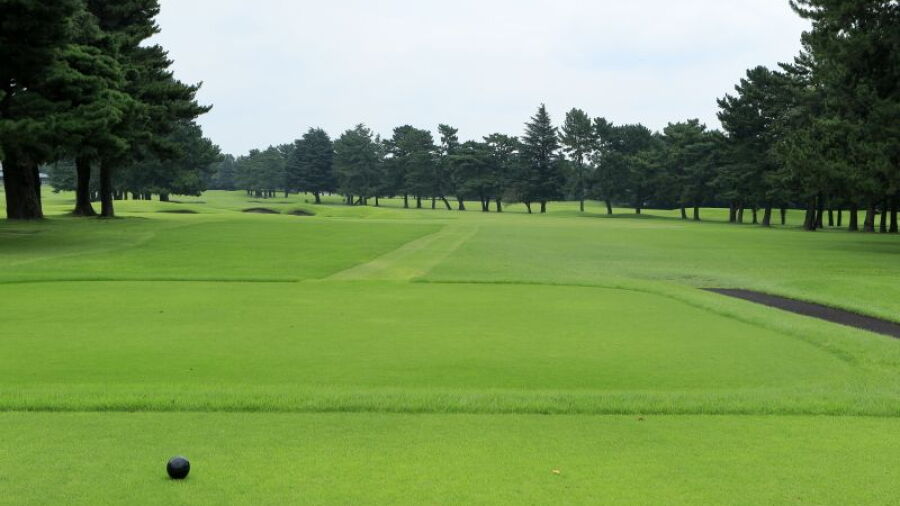 Sagami CC: #4