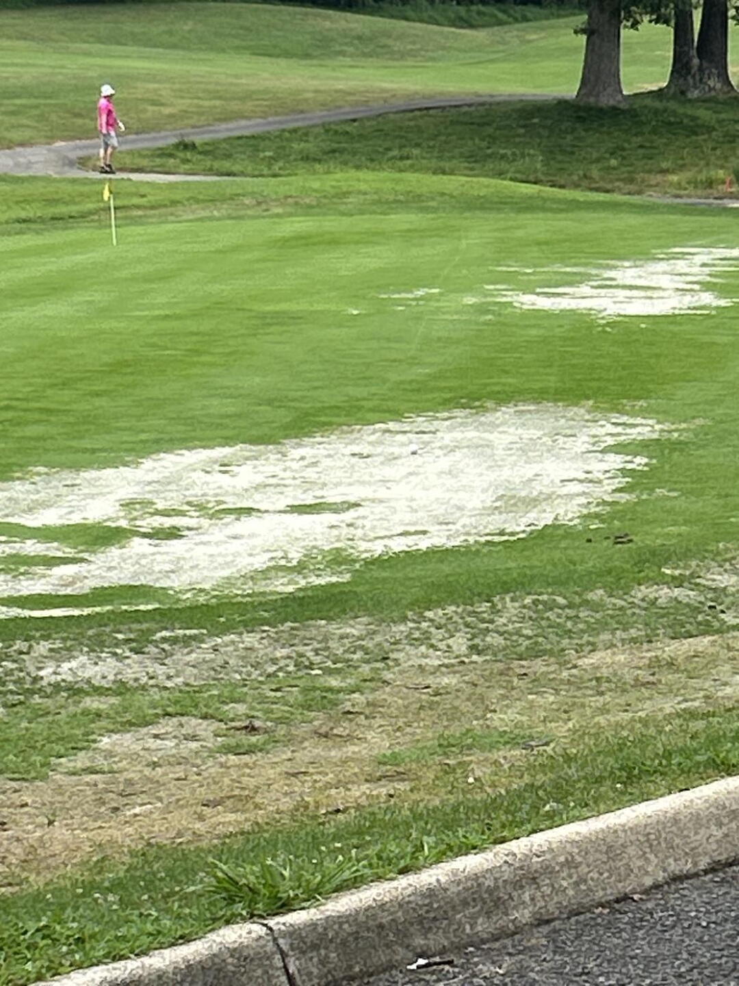 Putting green (Photo submitted by u000005460048 on 08/17/2025)