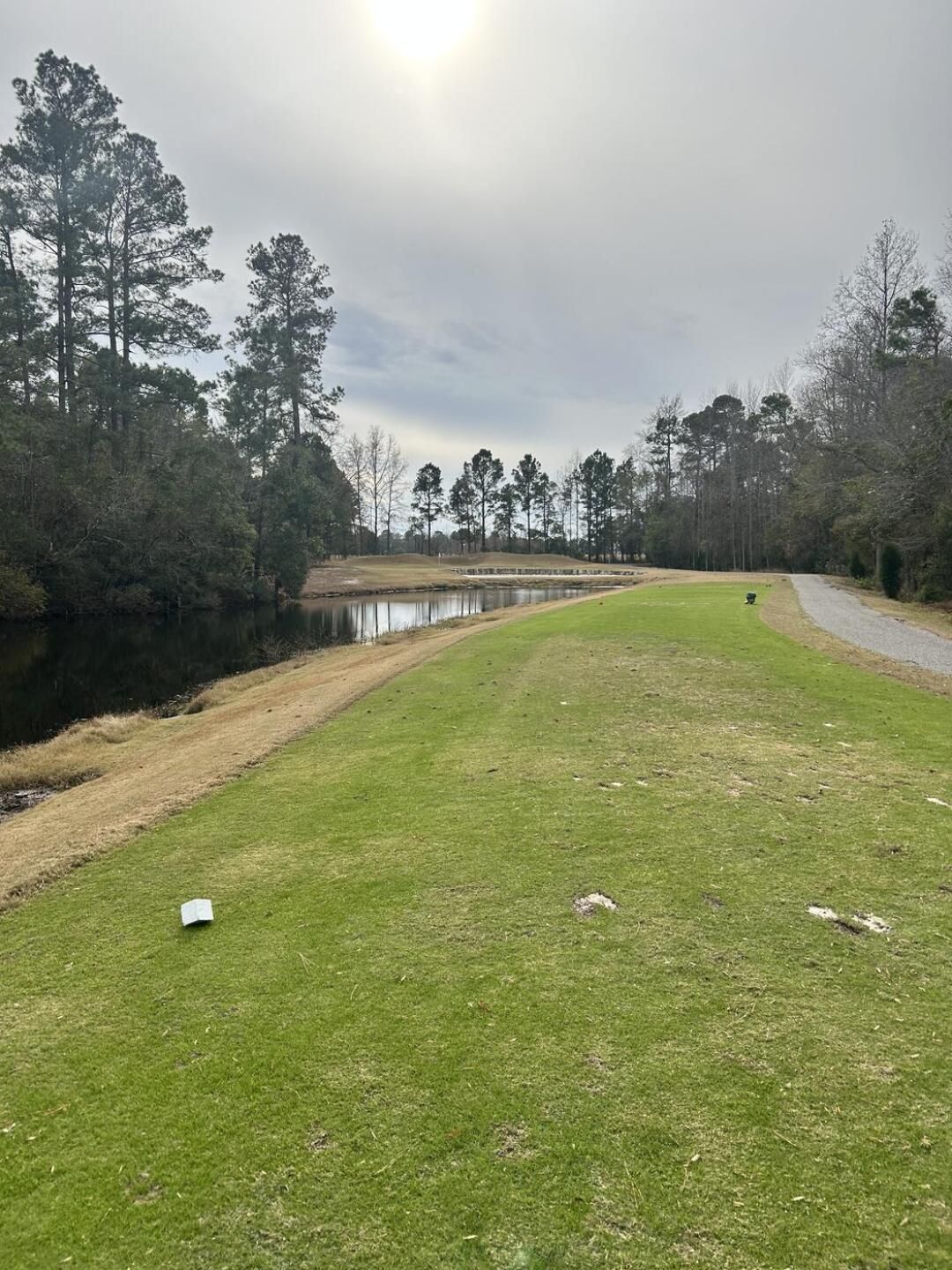 (Photo submitted by aWgE8EXXrM3IqhCig6Z1 on 12/04/2025)